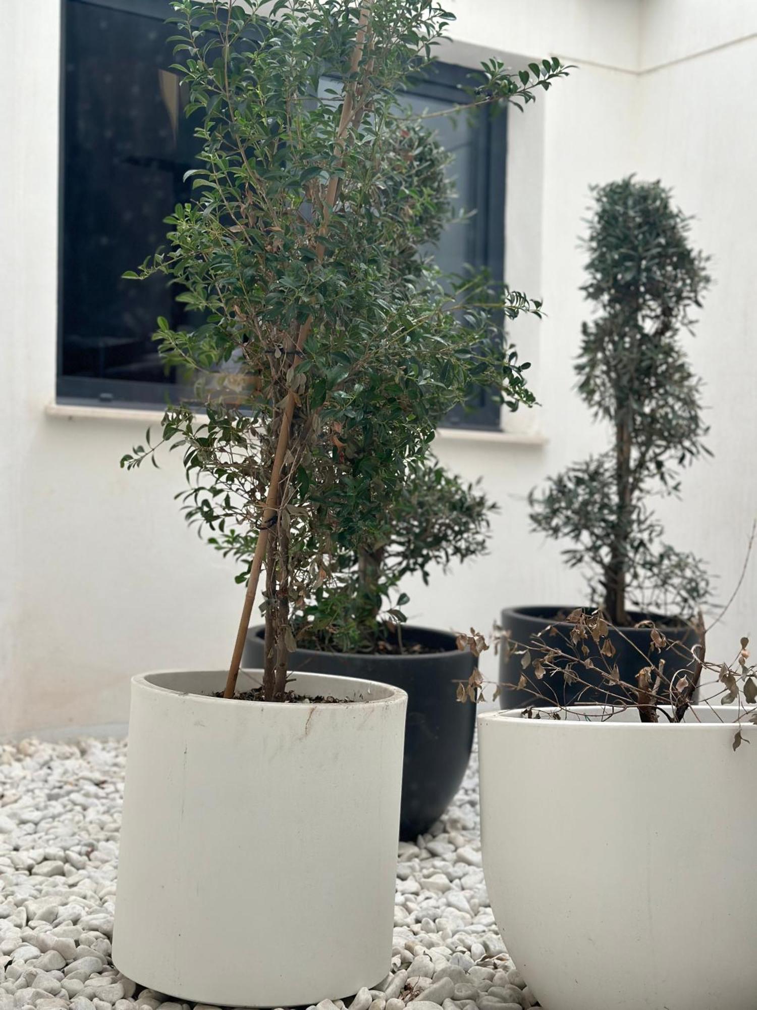 Hostel Alicante A-Cero Living Zewnętrze zdjęcie